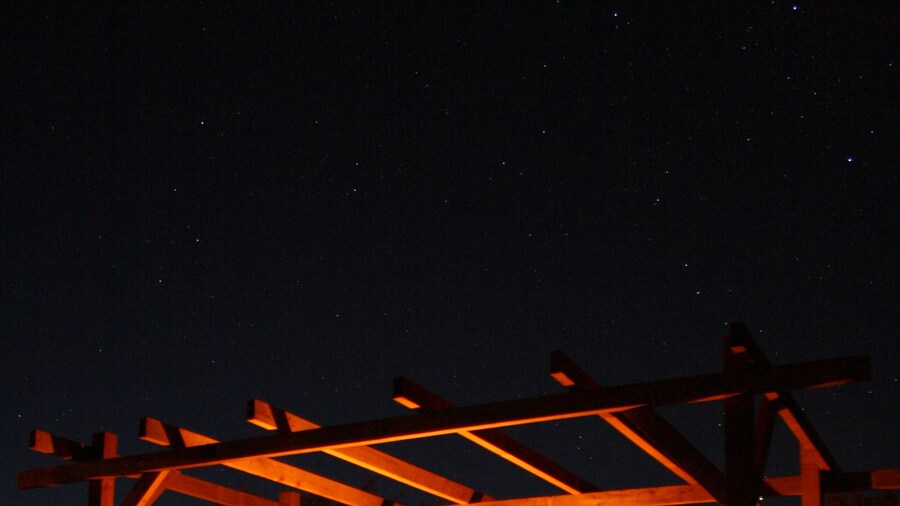 Behind the Bike sheds