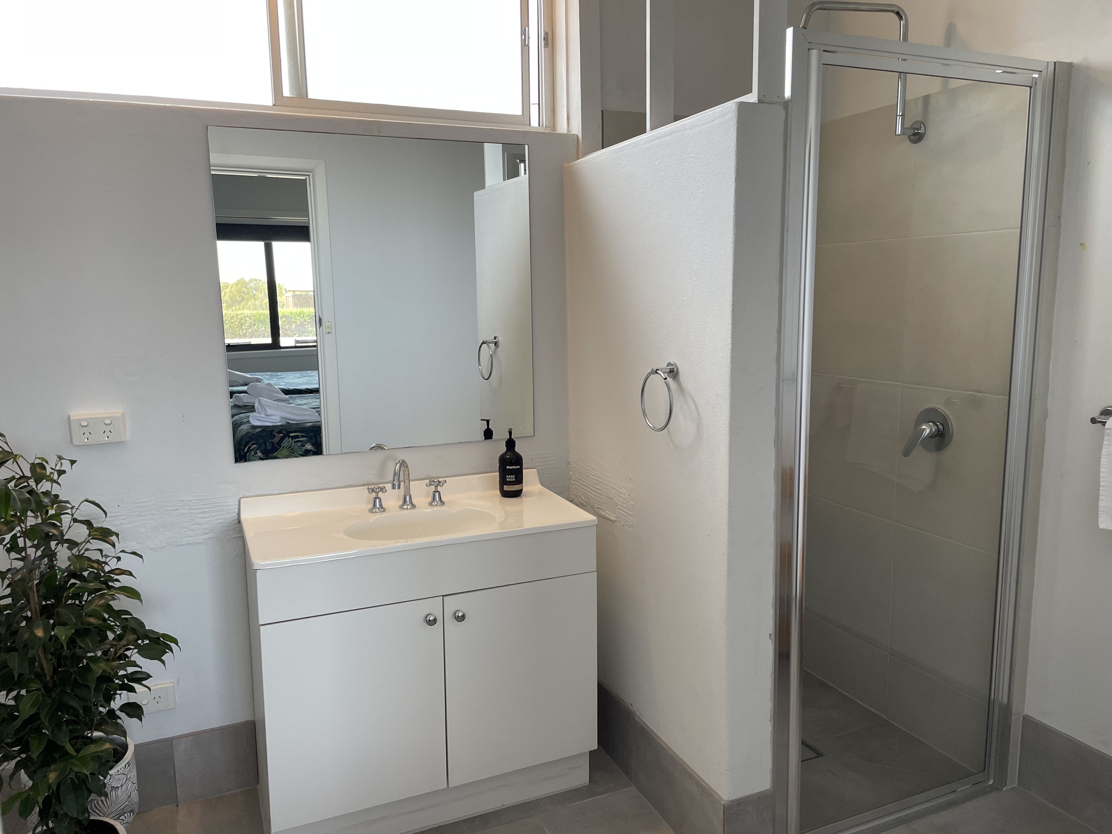 A bathroom with a white sink, a mirror, a glass shower enclosure, and a potted plant.
