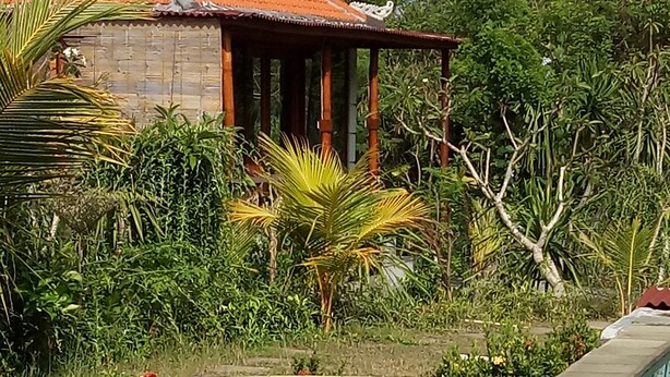 Una piscina de borde curvo, rodeada de exuberante vegetación y un pequeño edificio con techo de tejas.