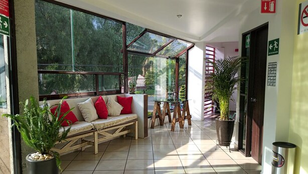 A spacious lobby with a large window, a wooden bench, and potted plants.