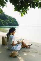 海灘、躺椅、沙灘巾、間海灘酒吧