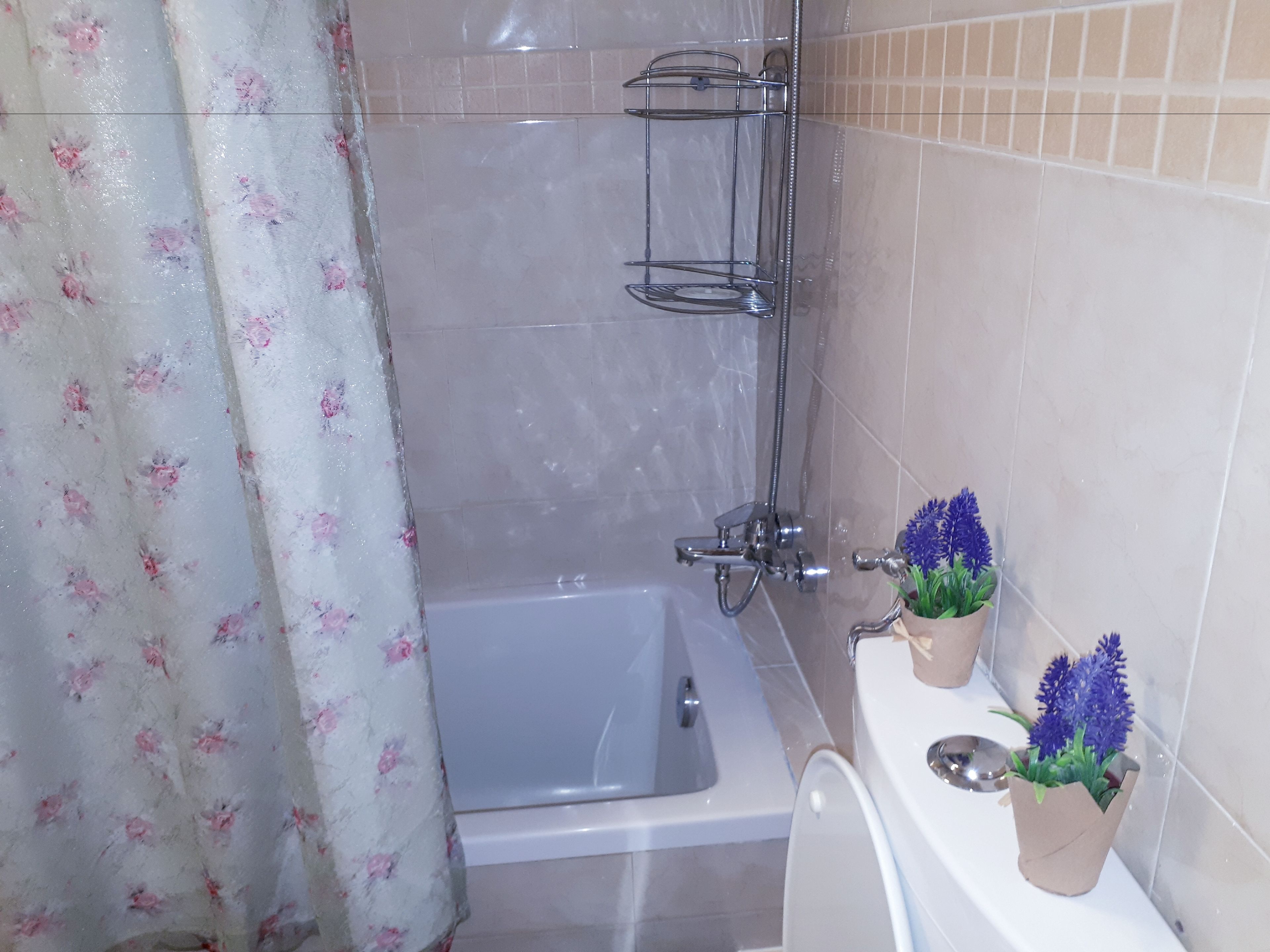 Basic Studio, 2 Bedrooms, Non Smoking | Bathroom | Shower, hair dryer, towels