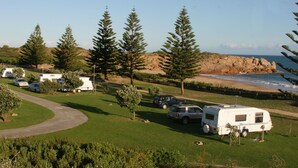 Un terrain de camping où sont stationnés des camping-cars et des voitures, sur une zone herbeuse, avec des arbres et une côte rocheuse en arrière-plan.