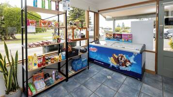 A store with shelves stocked with snacks, a freezer with ice cream, and a potted plant.