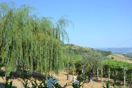 Jardín