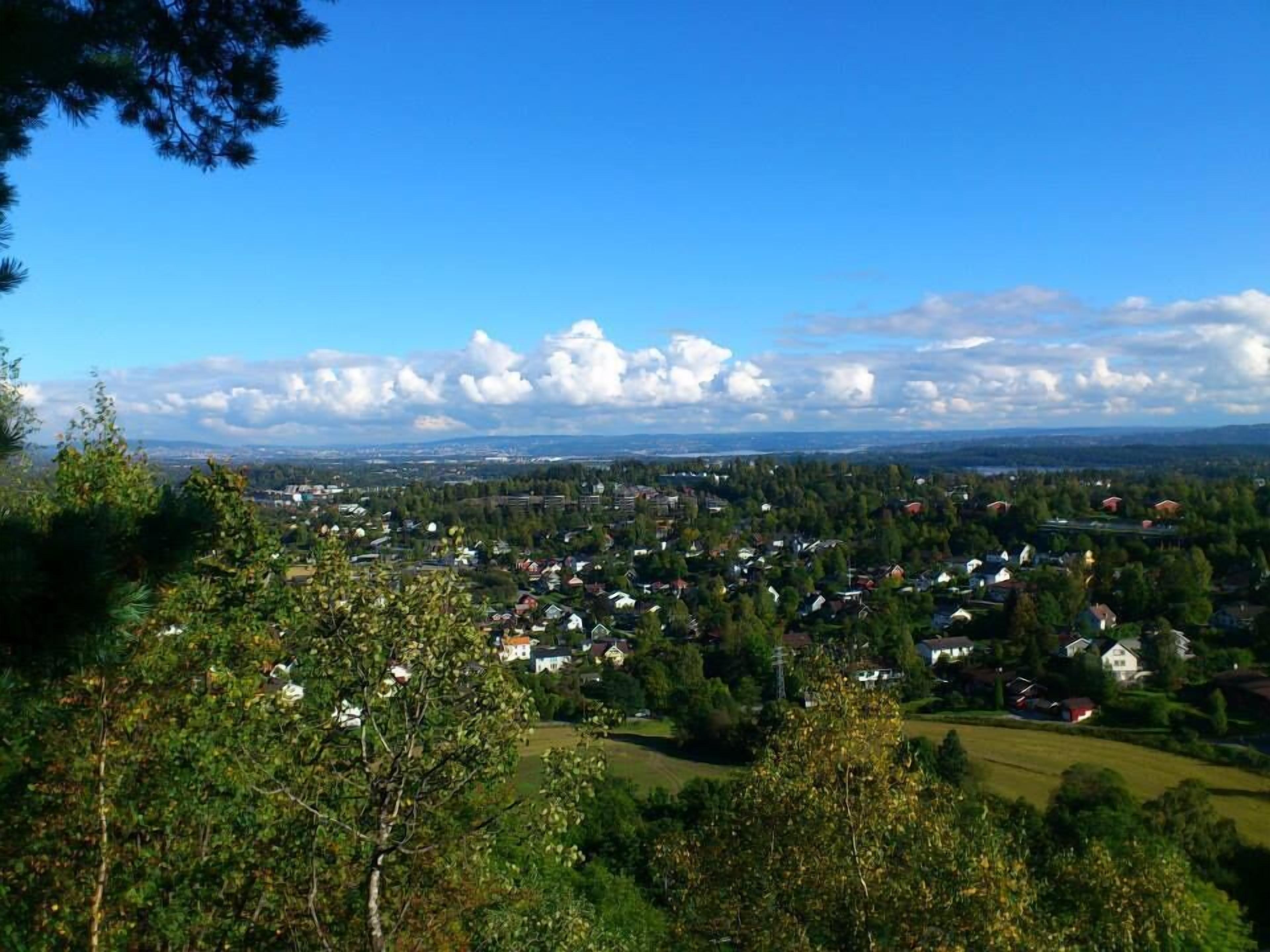 Una vista panoramica di una città con case, alberi e cielo sereno.