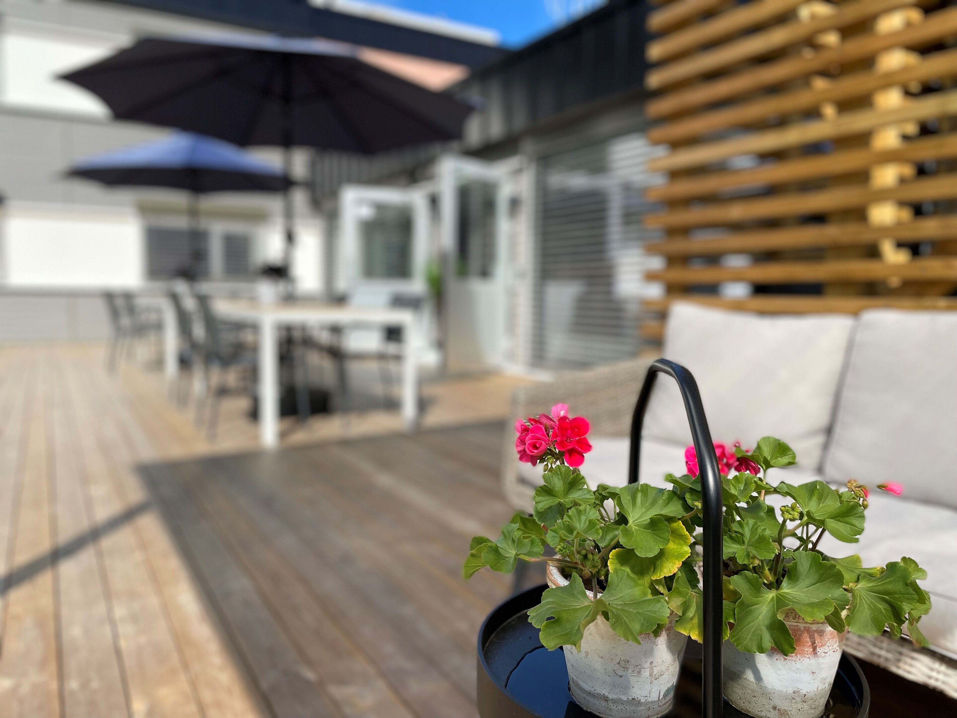A wooden deck with outdoor furniture, a table, and chairs. There are two potted plants with green leaves and pink flowers.