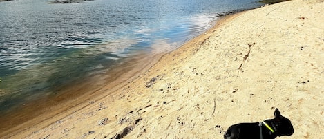 On the beach