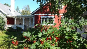 A red house with a porch and a garden with red berries.