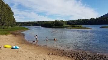 A riverbank with a sandy beach, trees, and a forest in the background.