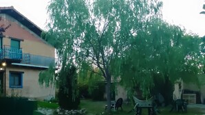 A residential backyard with a large tree, a pathway, and a building with a balcony. - Hostería Casa Flor (Astorga)