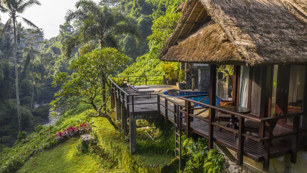 A thatched-roof bungalow with a wooden deck, surrounded by lush greenery and a small pool. - Villa Cella Bella (Ubud)
