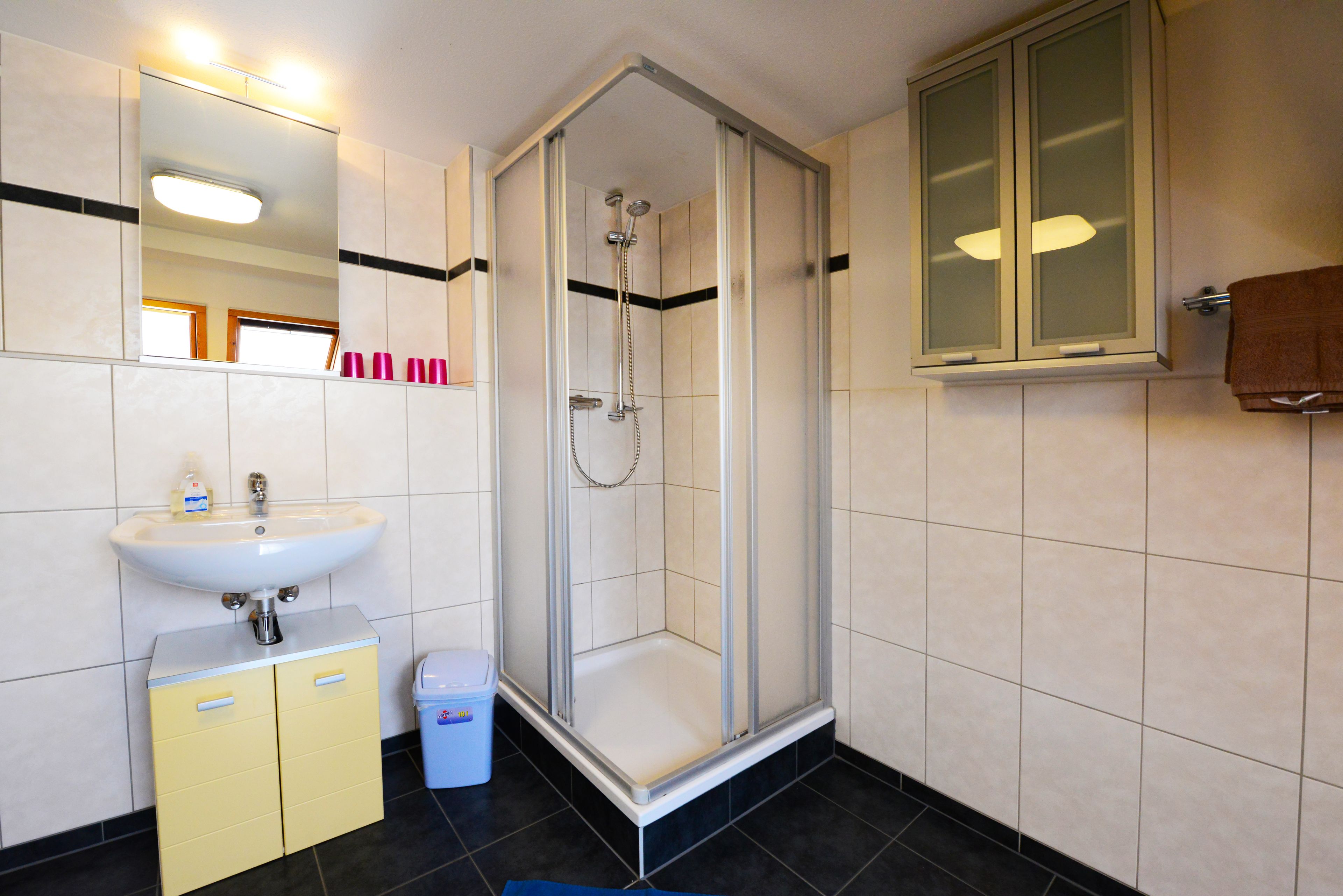 Bathroom shower