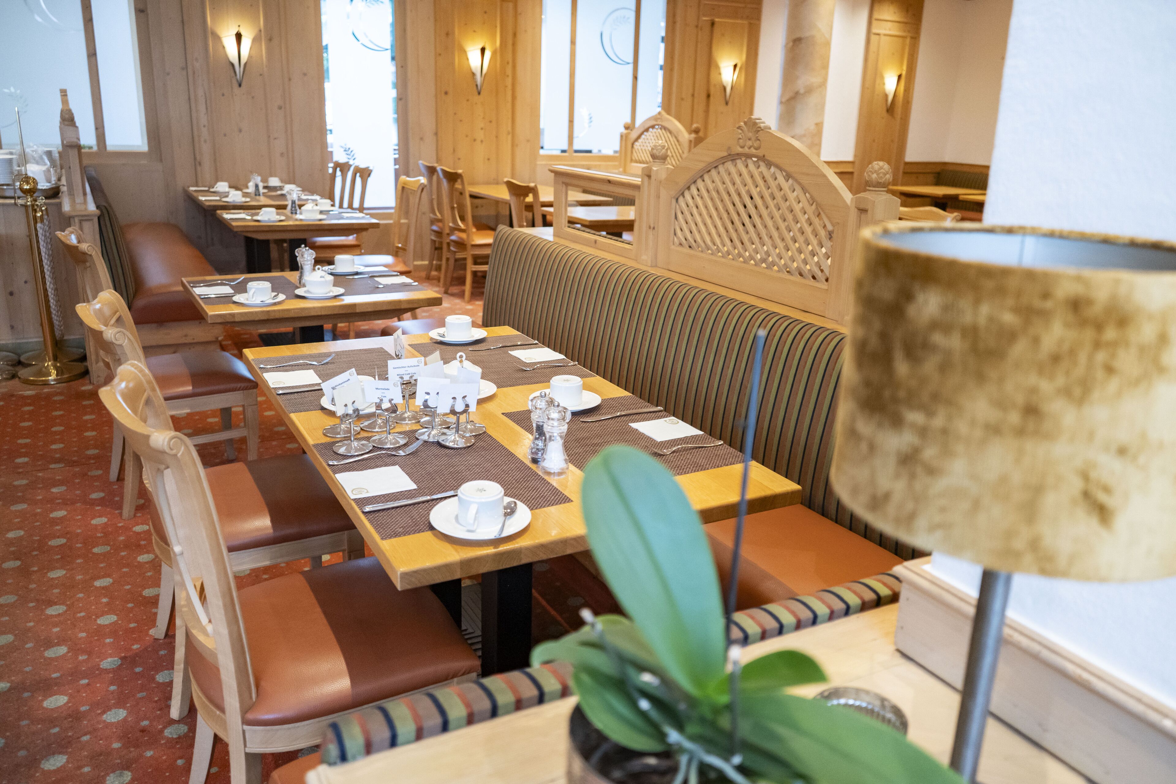 A restaurant with wooden tables and chairs, a patterned carpet, and a large potted plant.