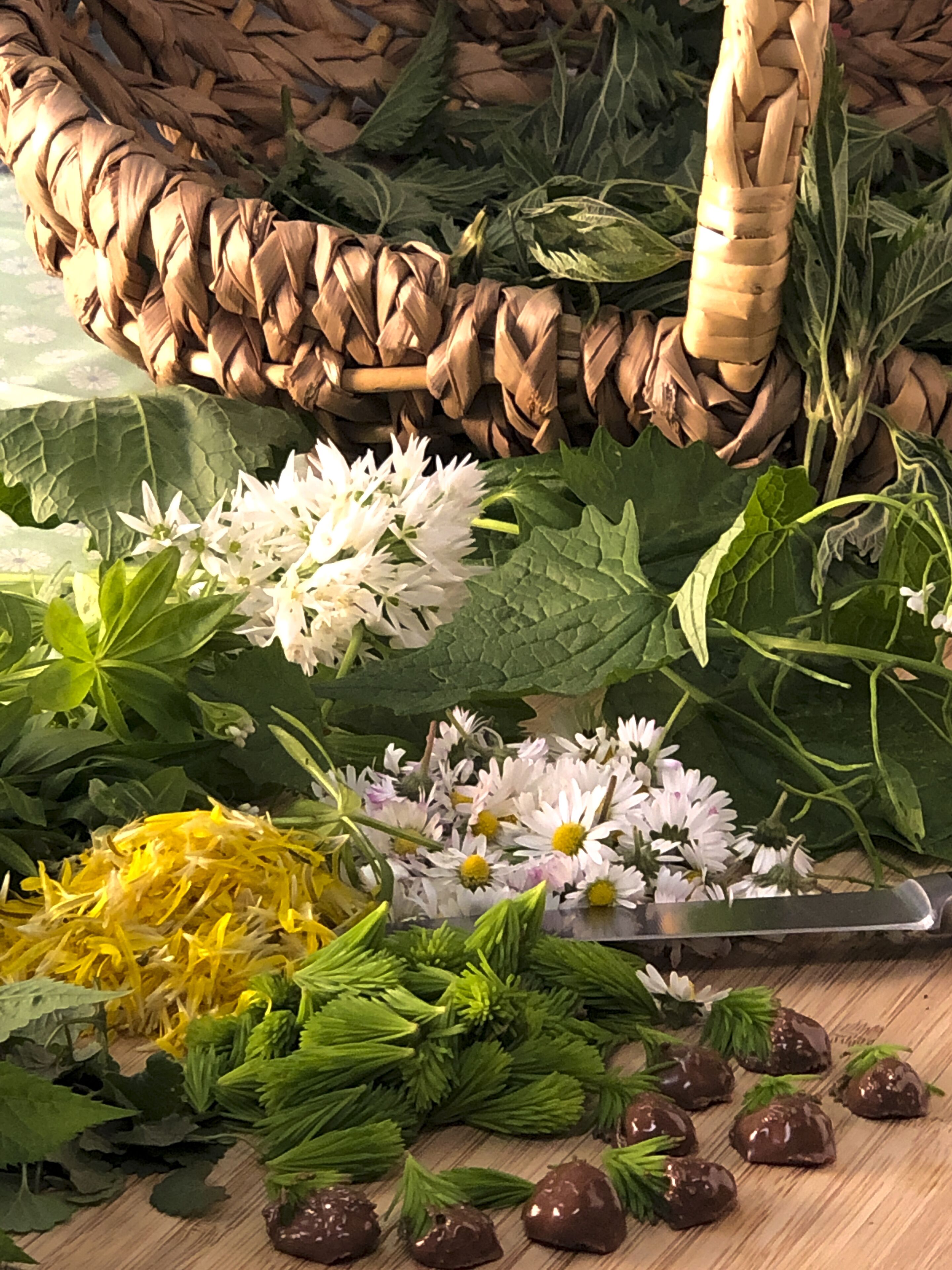 A variety of fresh herbs and flowers, including white daisies and yellow fennel, arranged on a wooden surface.
