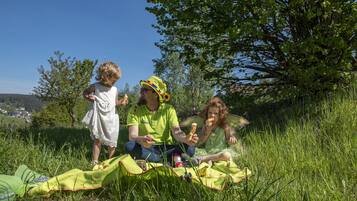 A group of people sitting on a blanket in a grassy area with trees and a clear sky in the background.