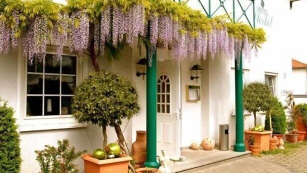 A building with a white facade, green columns, and a porch with hanging purple wisteria. There are potted plants and a small tree on the porch. - Hotel Sterkel (Roedermark)