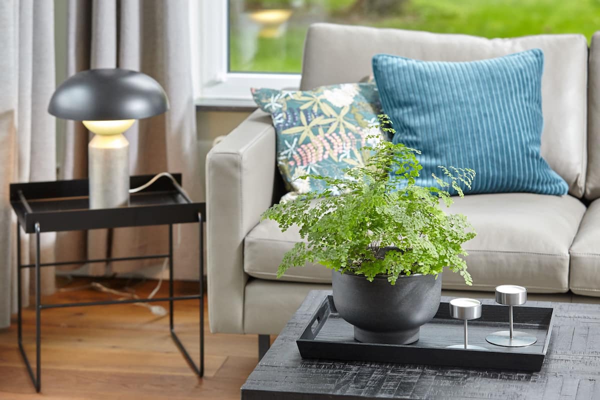 Ein modernes Wohnzimmer mit einem grauen Sofa, einem blauen Kissen mit Muster, einer schwarzen Stehlampe und einem Blumentopf auf einem Tablett.