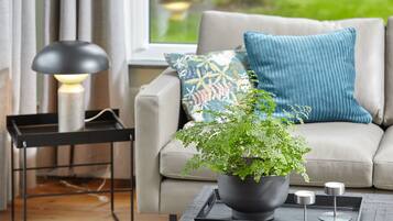 Studio (Apartment) | Living area
