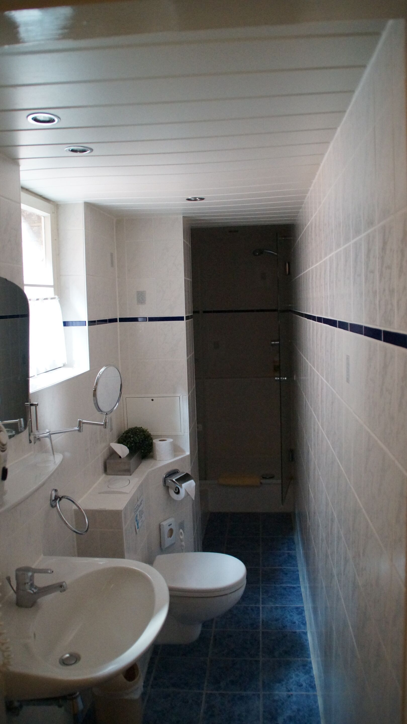 single room, private bathroom | bathroom