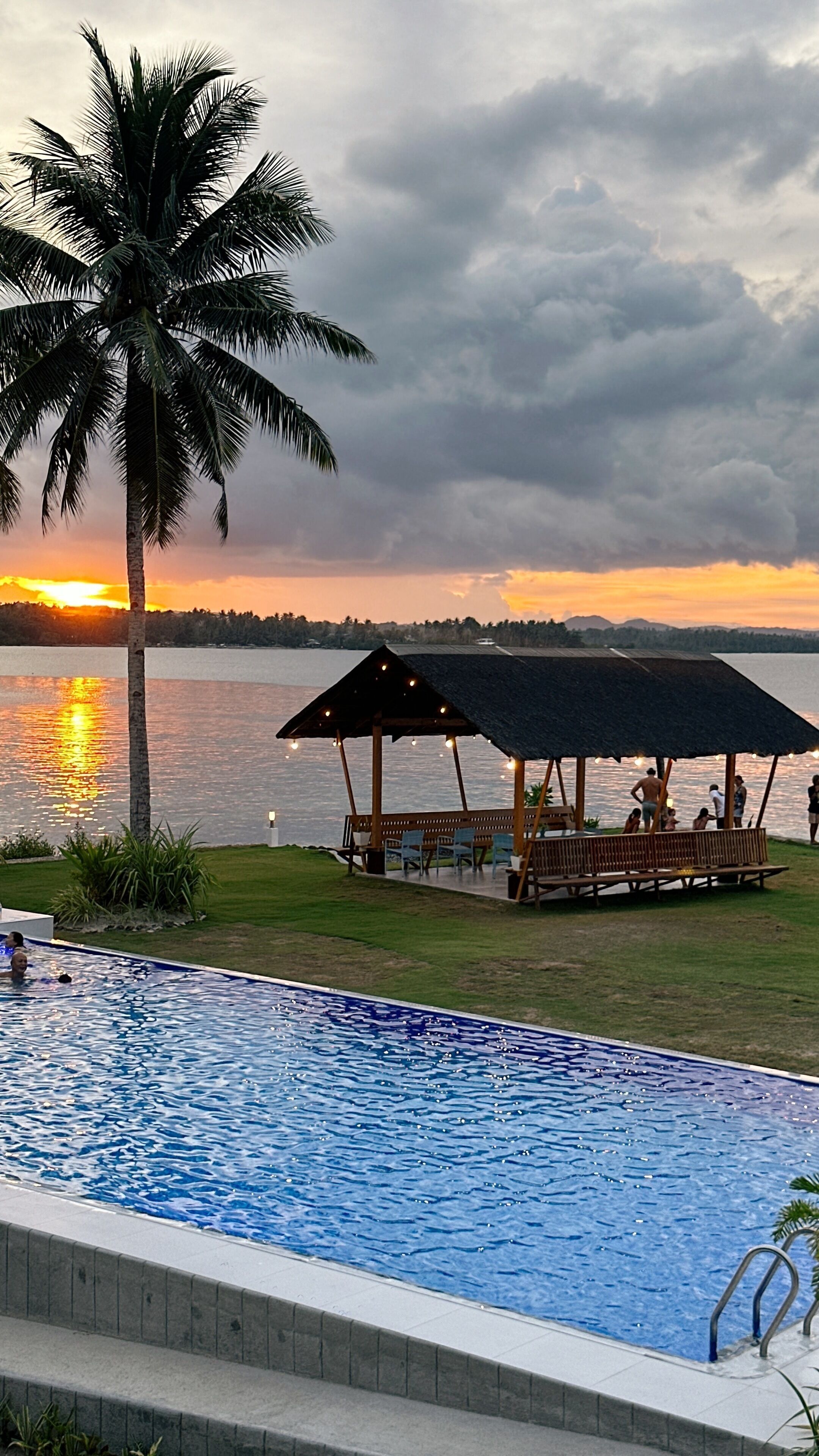 A swimming pool with a palm tree and a gazebo by the water.