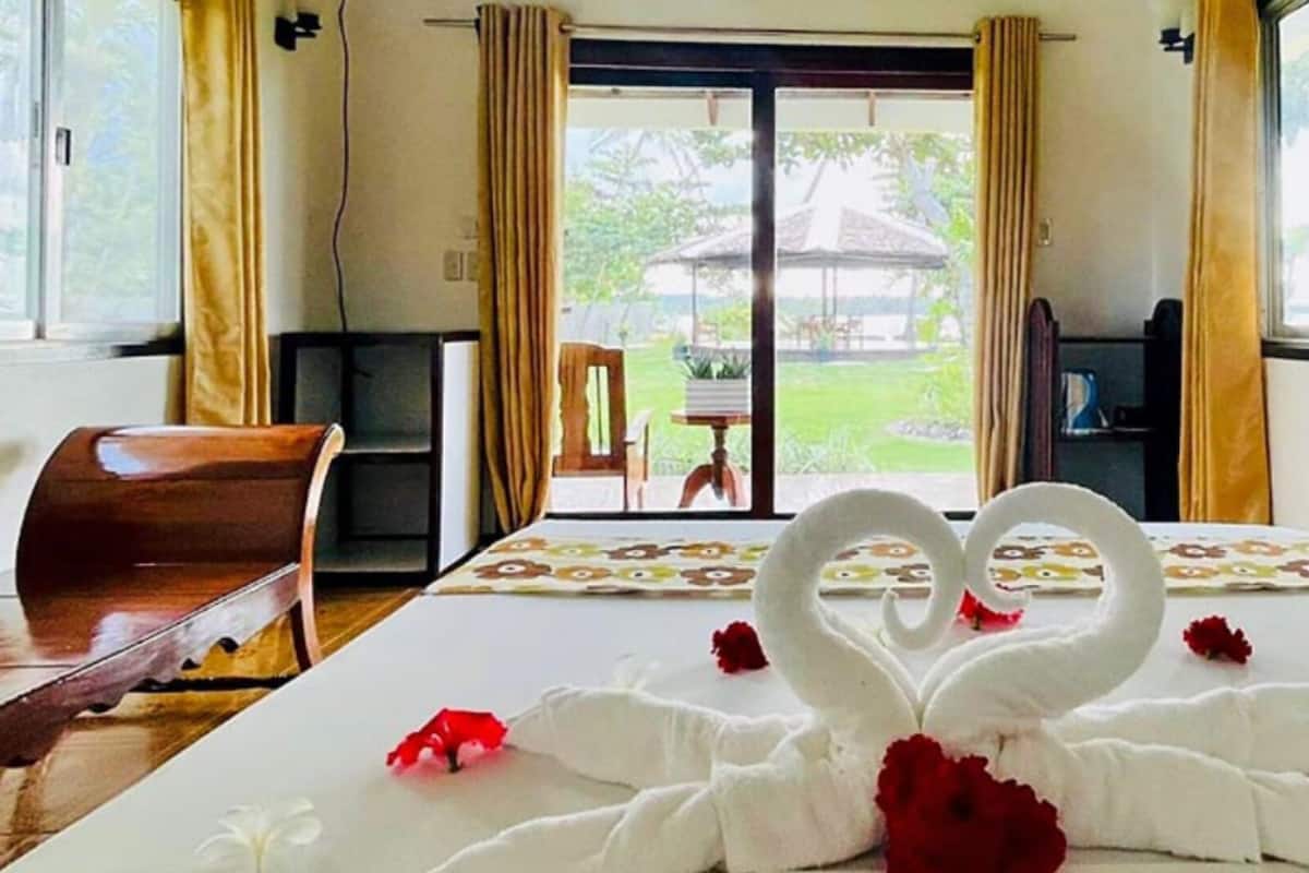 Habitación de hotel con una cama, una silla de madera, un televisor y vistas de un jardín a través del ventanal.