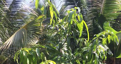 Kelulut Lodge