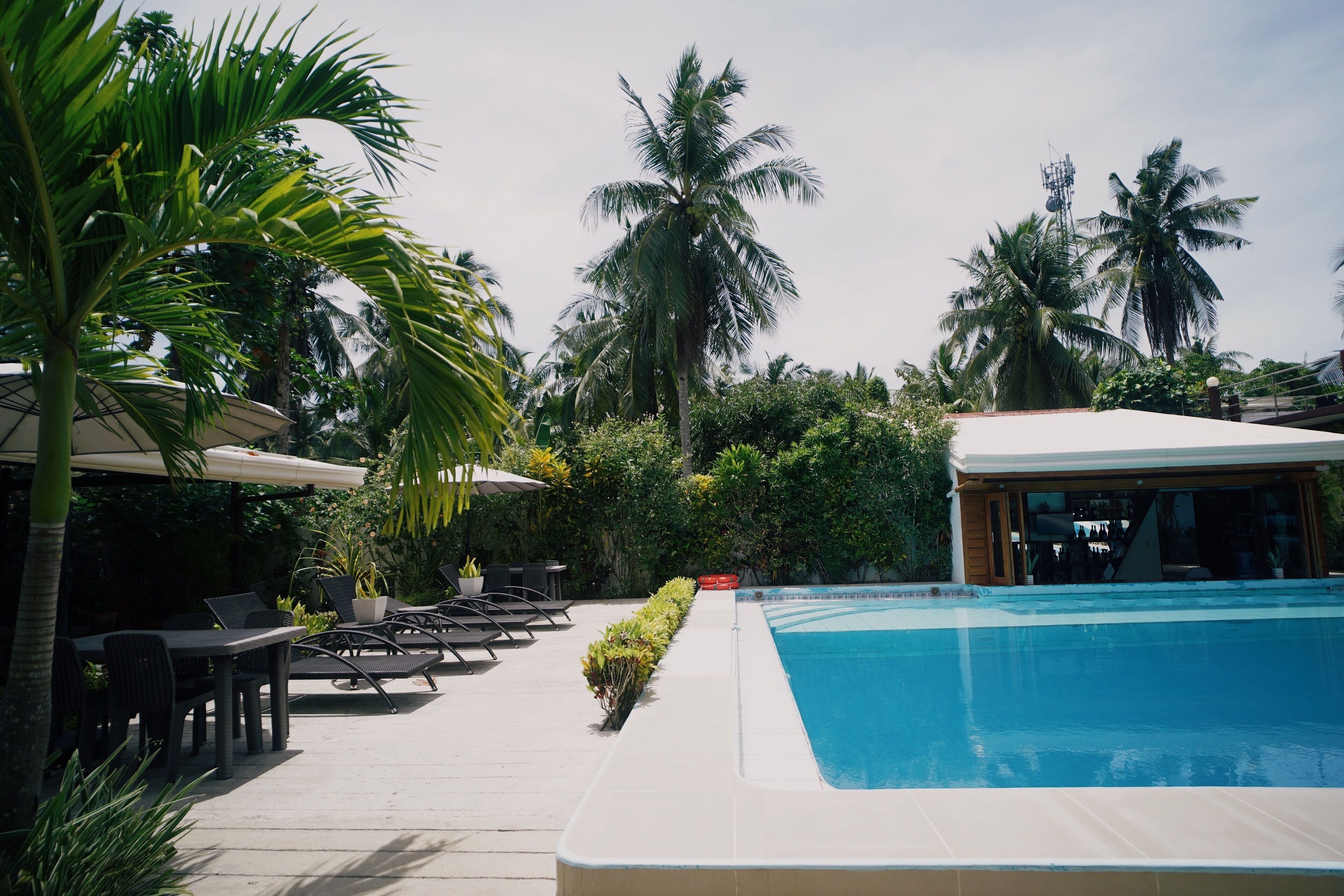 A pool area with lounge chairs and umbrellas, surrounded by palm trees and a building with large windows.