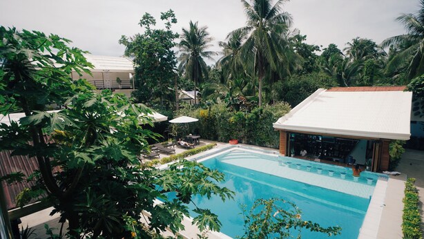 Una piscina rodeada de exuberante vegetación y palmeras, con una zona cubierta y sillas de descanso.
