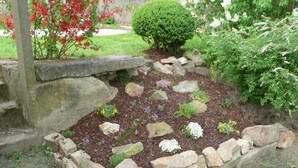 A garden with a stone border, various plants, and a small tree.