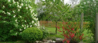 Hof Kiebitz - In Ostrau