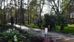 Un sendero de madera en un jardín con diversas plantas y árboles.