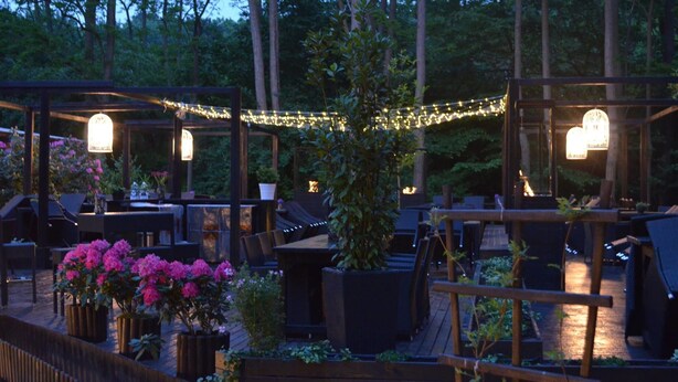 Un espacio de patio al aire libre con mesas y sillas de madera, luces colgantes y plantas en macetas.