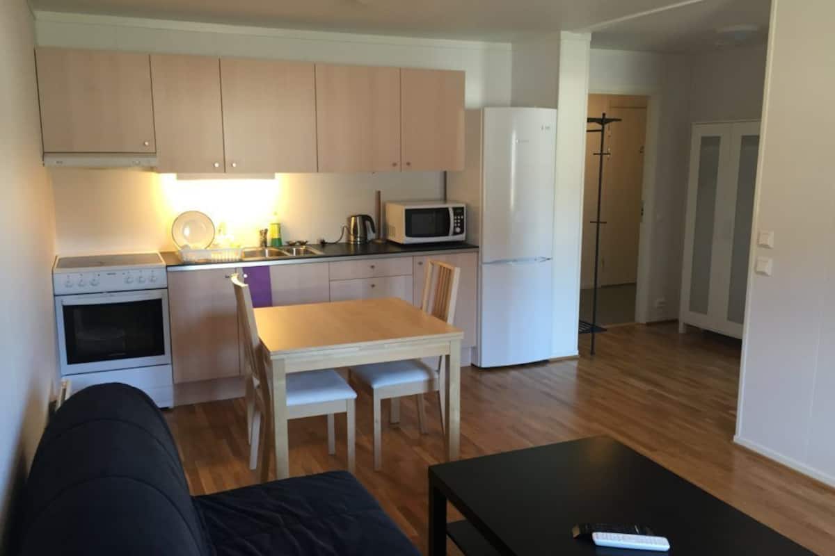 Apartamento estándar, 2 camas individuales | Cocina privada | Cafetera o tetera y hervidor eléctrico