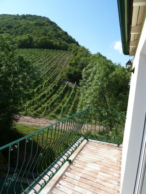 高級公寓, 多張床 | 陽台