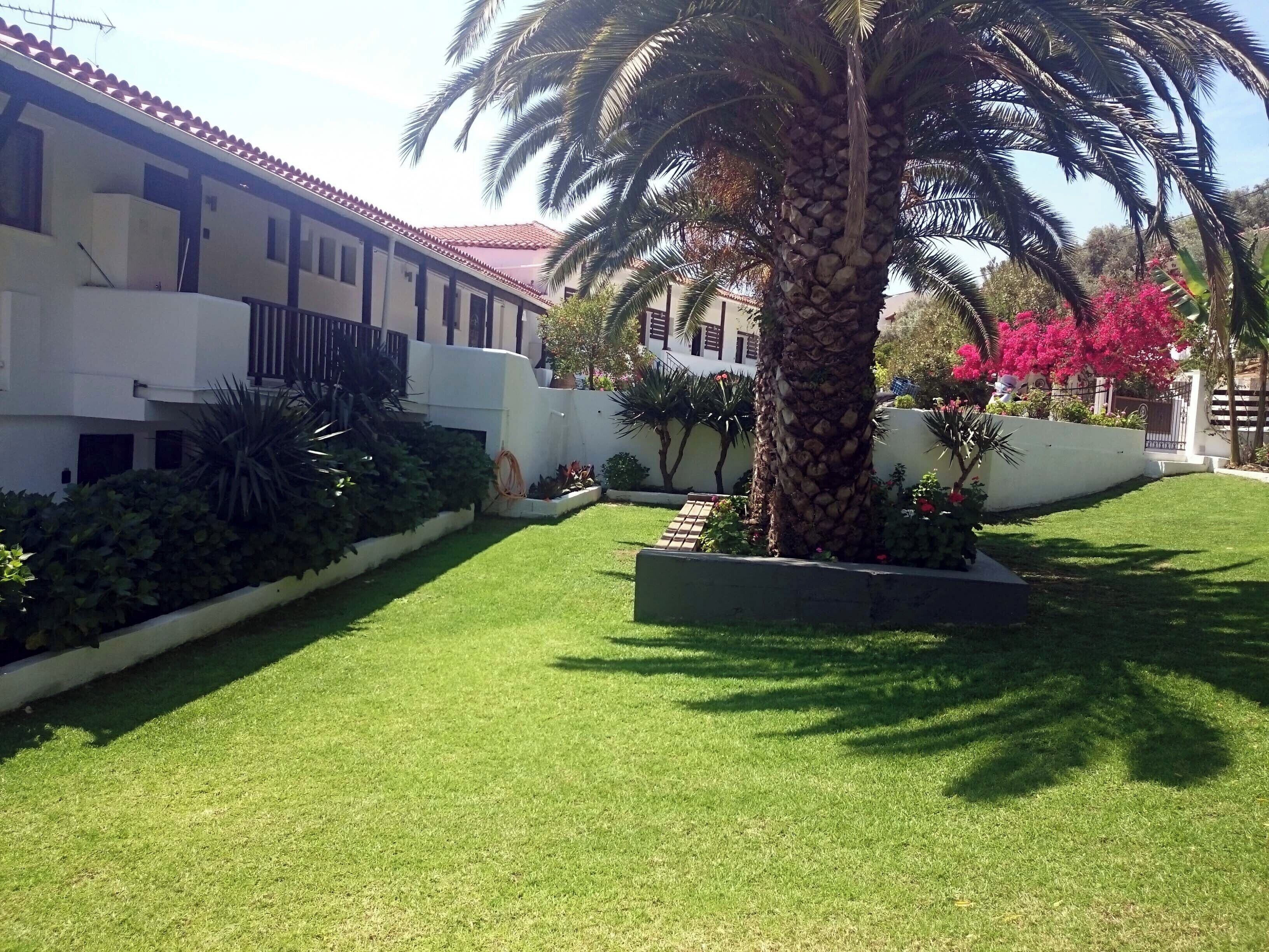 A well-maintained garden with a palm tree, neatly trimmed grass, and a white building with a red-tiled roof.
