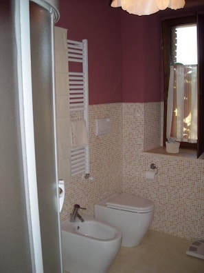 Shower, free toiletries, bidet, towels