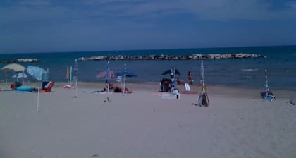 La Cicala