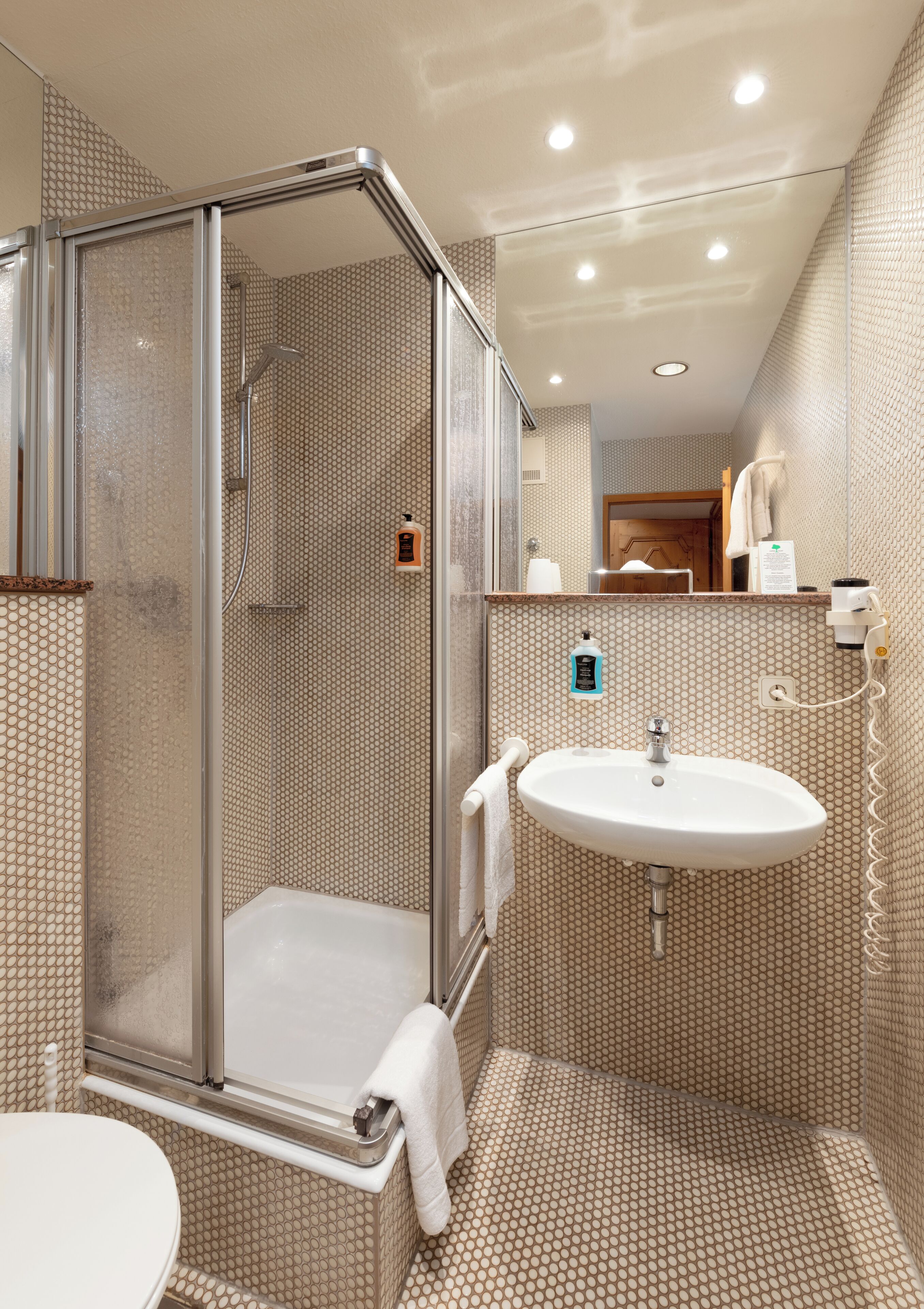 shower, eco-friendly toiletries, hair dryer, towels