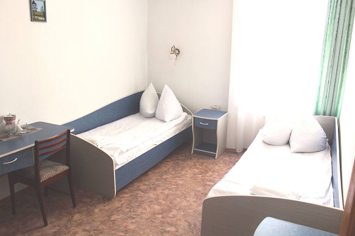 Standard Twin Room | Premium bedding, desk, iron/ironing board, free WiFi