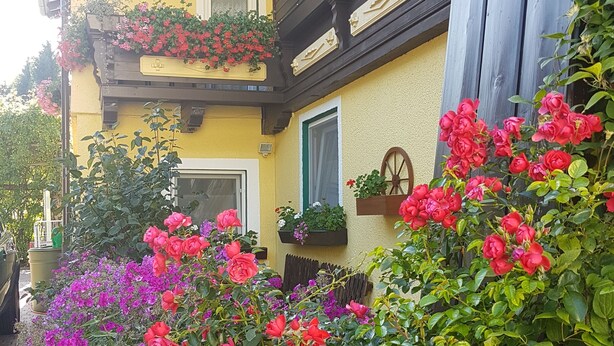 A building with a yellow facade, wooden balconies, and flower boxes with red and pink flowers. - Pension Haus Rohrmoser (Annaberg-Lungoetz)
