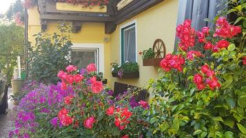 Kamar Double (kleines) | Pemandangan taman