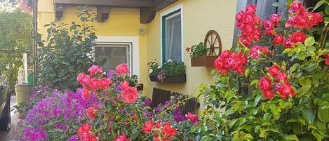 Habitación doble (kleines) | Vista al jardín