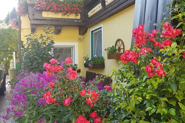 Double Room (kleines) | Garden view