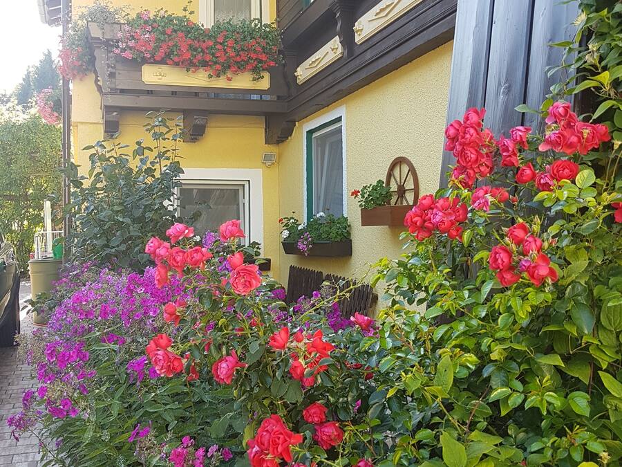 Double Room (kleines) | Garden view