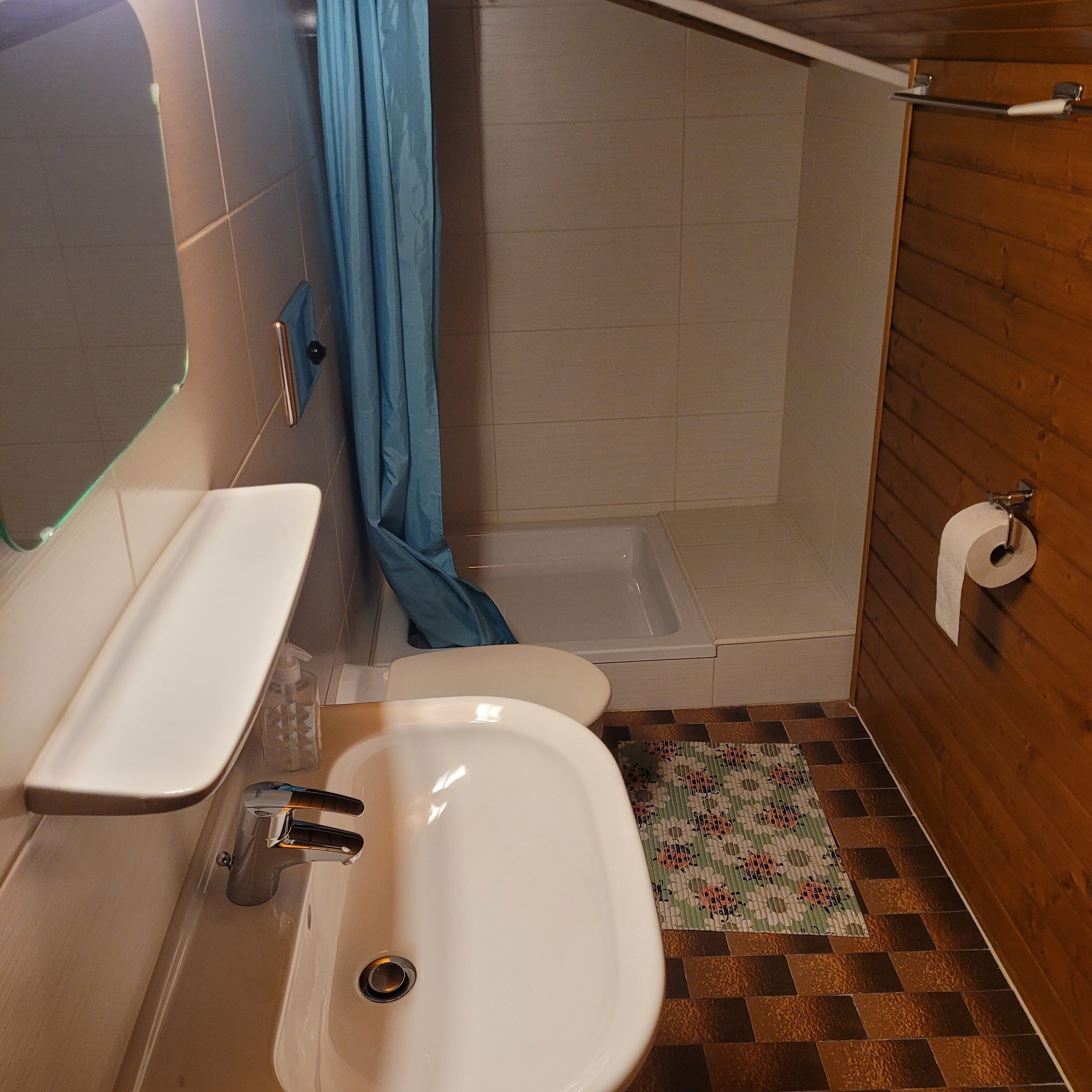 Ein Badezimmer mit Waschbecken, Toilette, Dusche und einer kleinen Fußmatte.