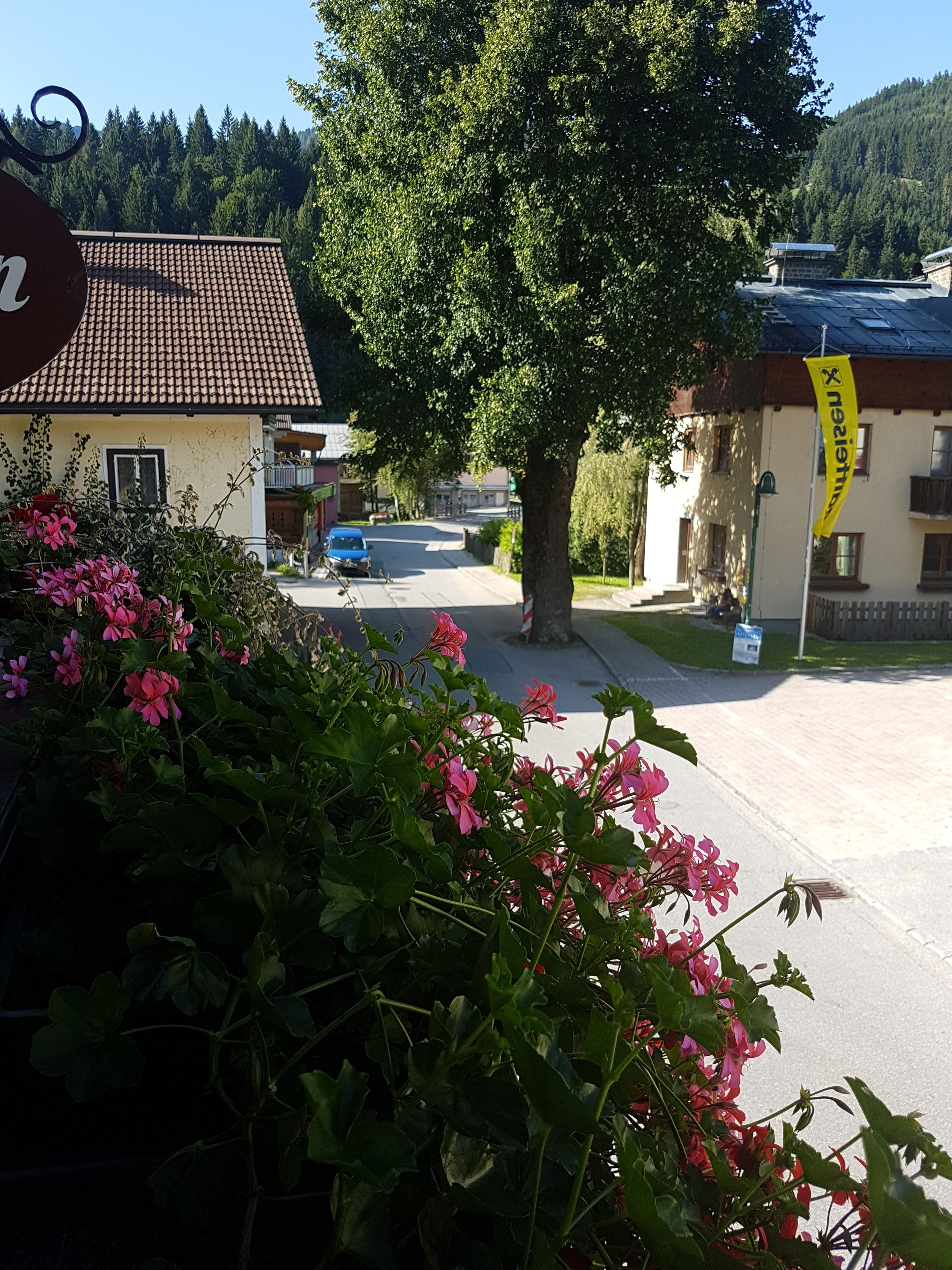 Eine Wohnstraße mit Häusern, einem Baum und einem gelben Banner.