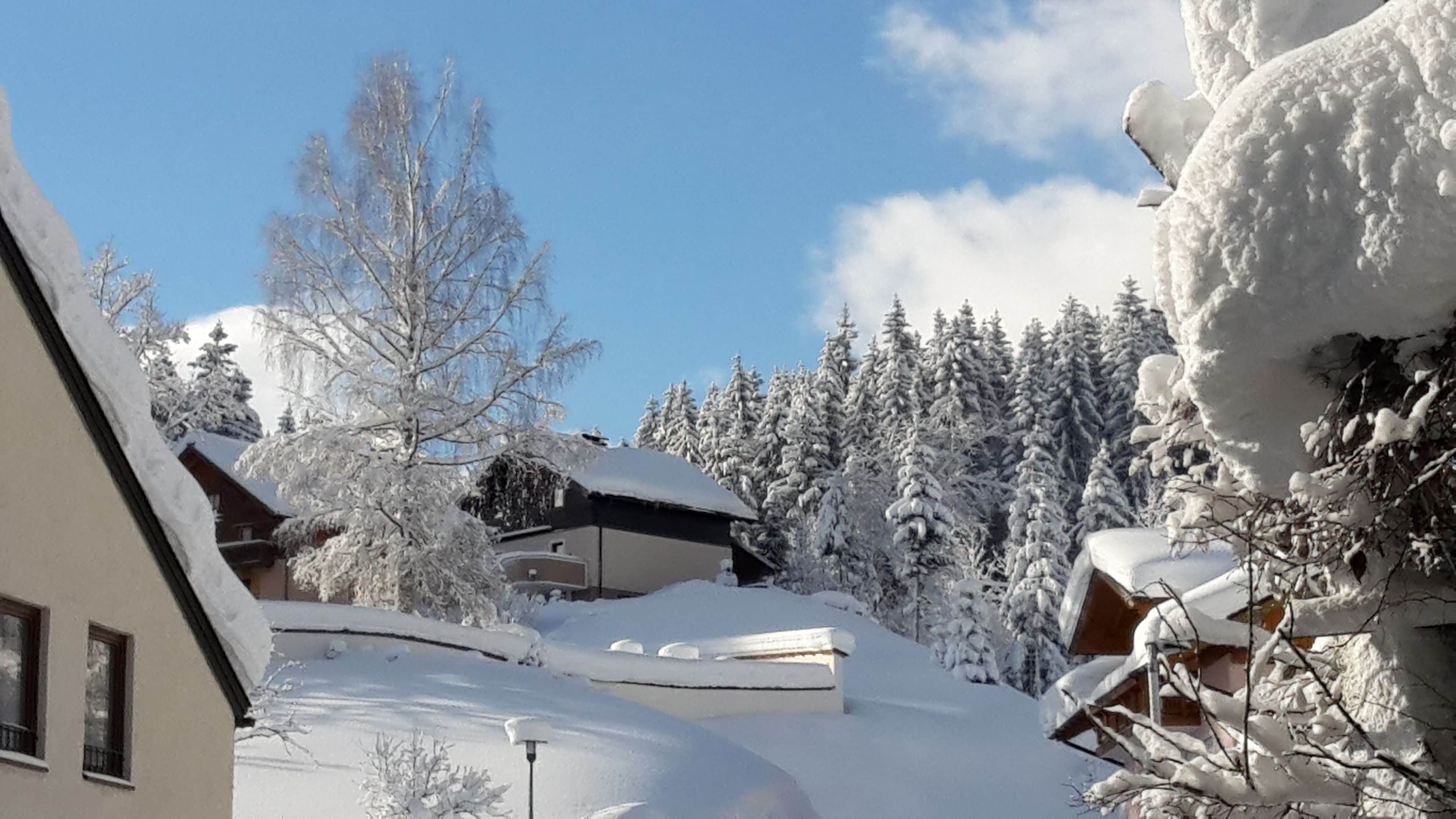 A snow-covered residential area with houses and trees.