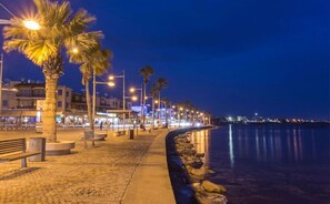 A nighttime coastal promenade with palm trees, benches, and street lamps.