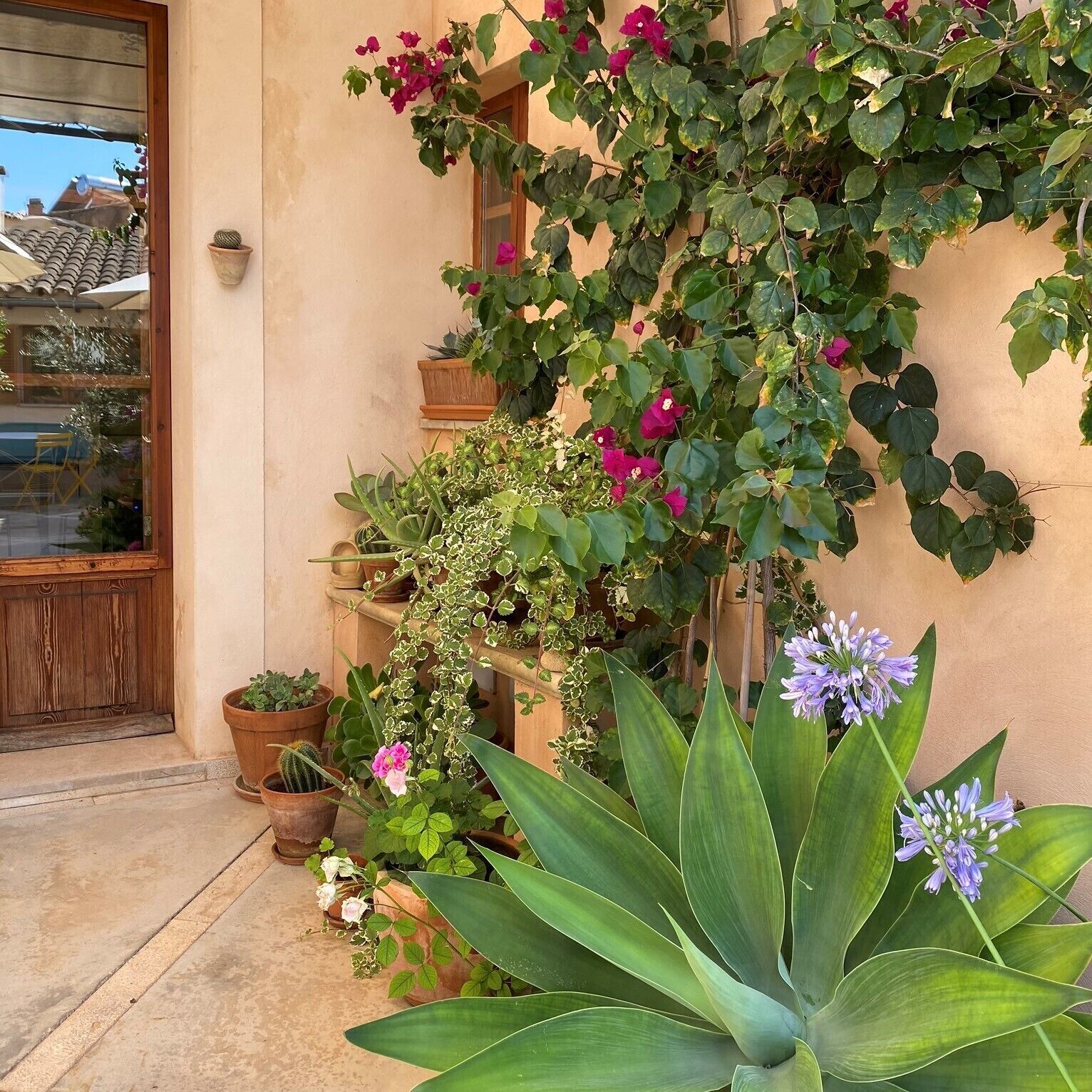 Foto - Vista de la Vila - Turismo de interior.